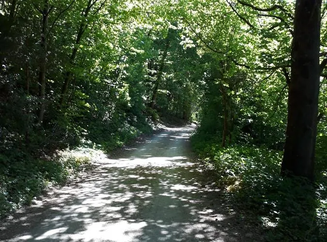 Rundeck Herberg